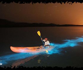 Efecto-bioluminescente-Puerto-Rico