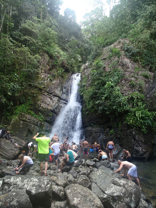 Cascada-la-Mina-bosque-el-Yunque