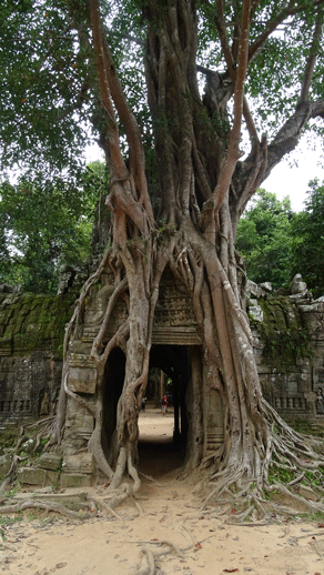 Ta-Som-Templo-Angkor
