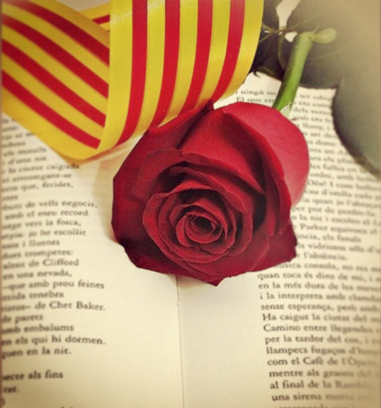Sant-Jordi-Bcn-rosa-y-libro