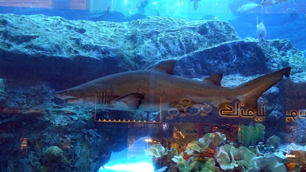 Aquarium-Dubai