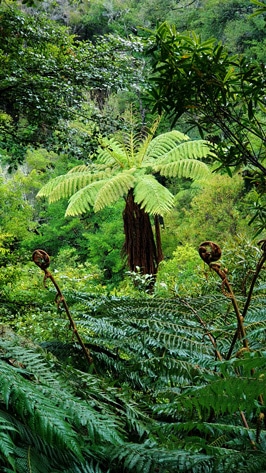 Abe-Tasman-national-park