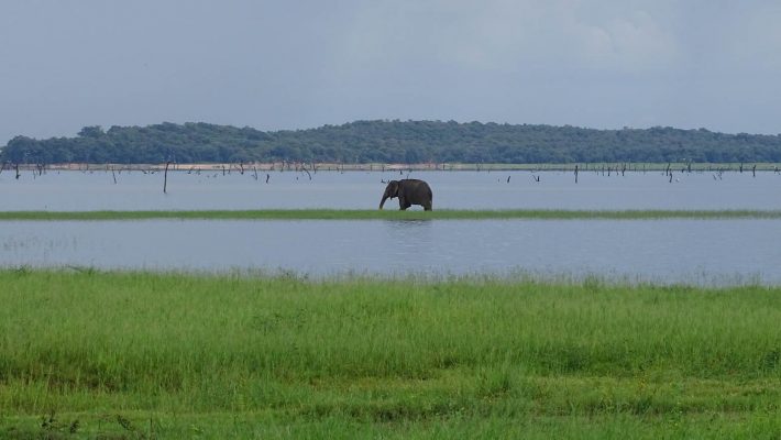 viajar-a-Sri-Lanka